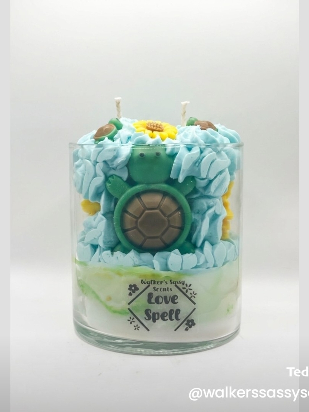 Turtle Candle